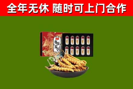 平陆烟酒回收冬虫夏草礼盒.jpg